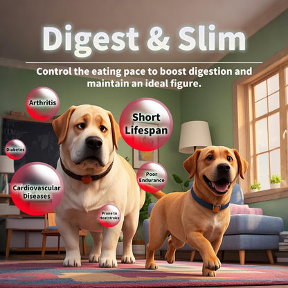 Dog Puzzle Feeder Toy | 2 Level IQ Training Slow Feed Enrichment | 50% Off Limited Time